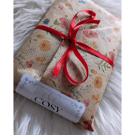 Livre Mystère Cosy Mystery